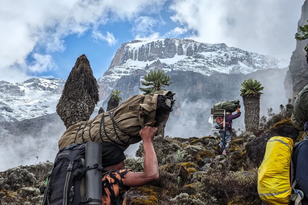 Tanzania Safari by African Chitah Limited