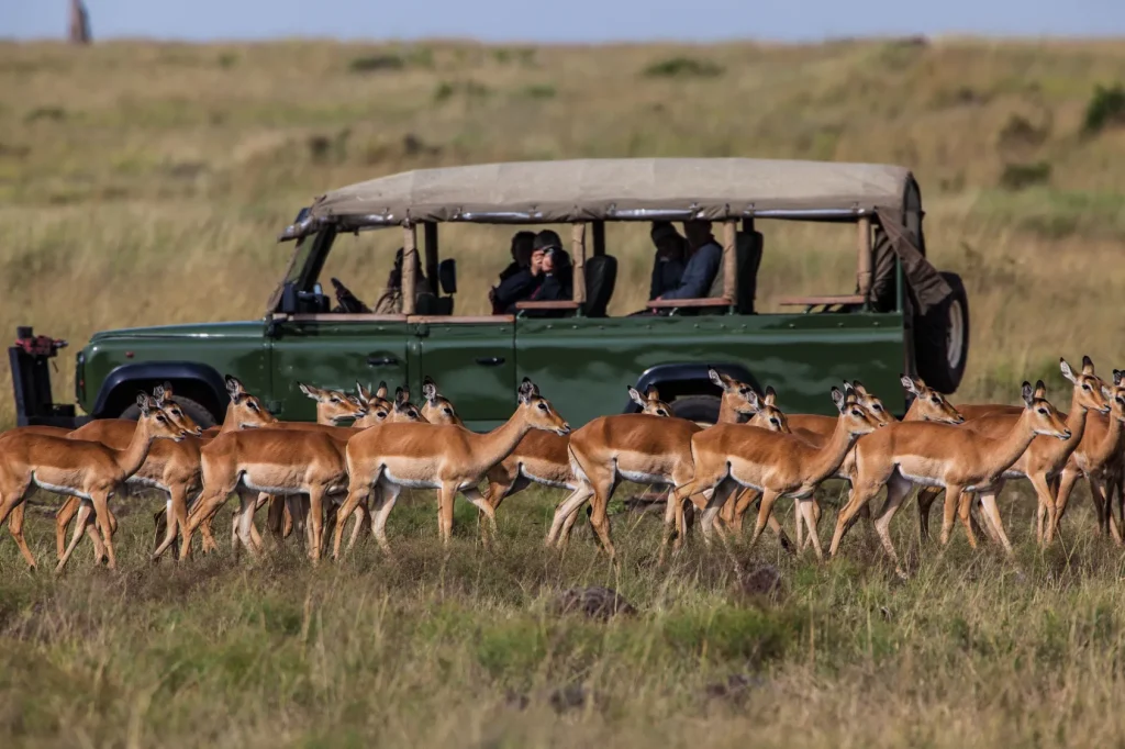 Tanzania Safari by African Chitah Limited
