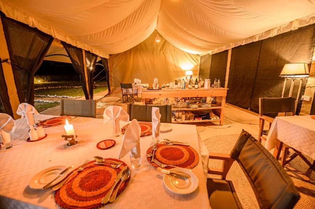 Luxury Safari vs Budget Safari: What’s the Difference? 2WhatsApp Image 2026 04 22 at 10.33.02 PM Copy 2