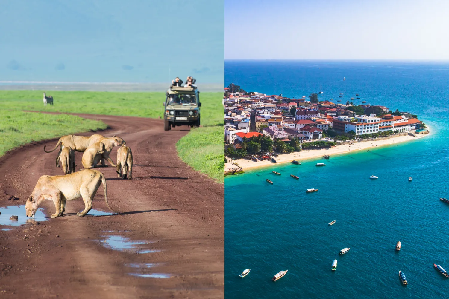 8-Day Safari + Zanzibar Beach Holiday