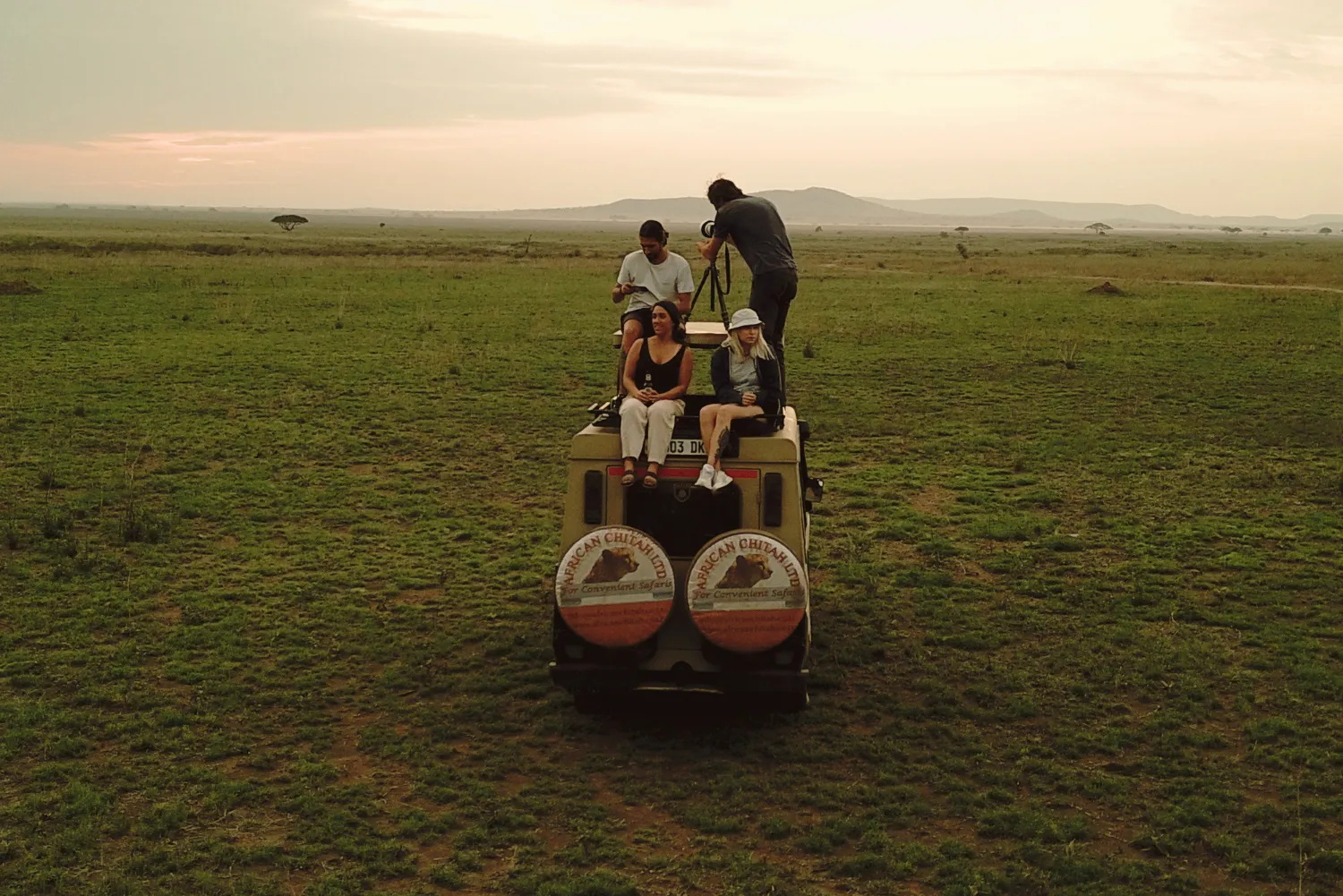 About Us African Chitah