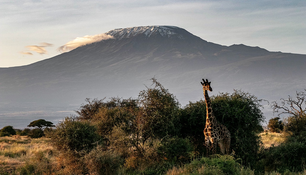 6-Day Rongai Route Trek