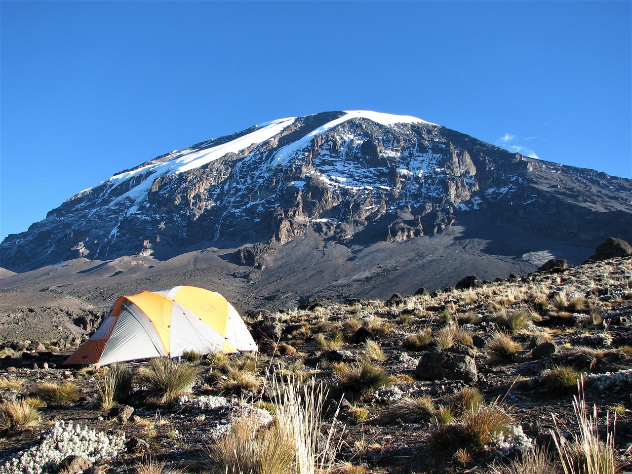 Kilimanjaro - Lemosho Route