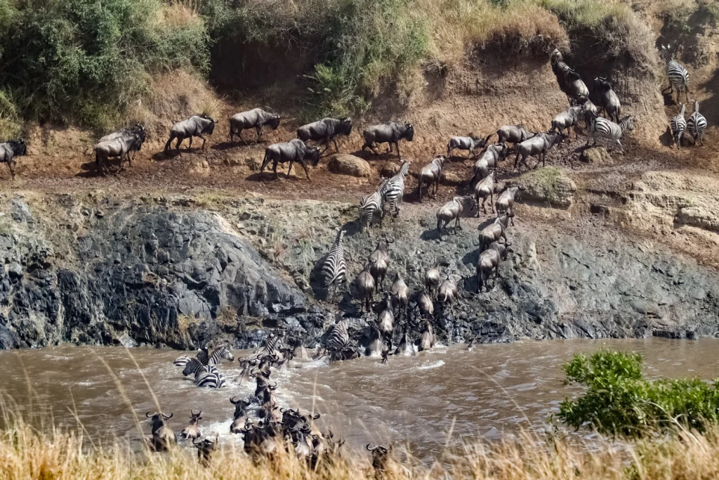 Serengeti Great Migration Safari - 5 Days (2)