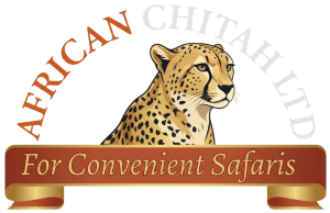 African Chitah Logo Png