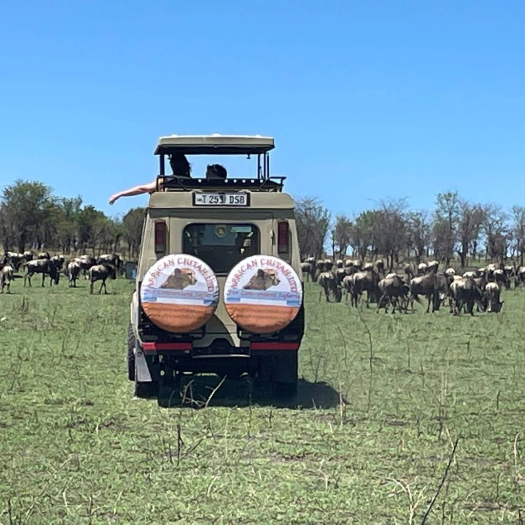 4 days Fly from Zanzibar to Tarangire