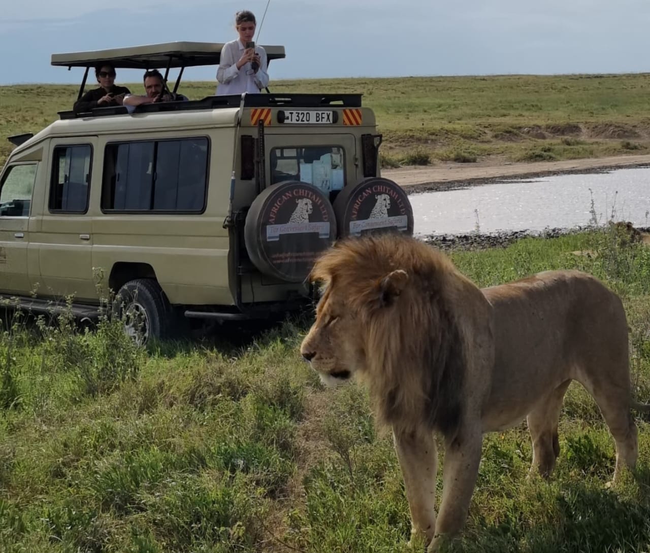 Tanzania safari by african chitah lyd