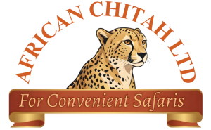 AFRICAN CHITAH LTD LOGO PNG