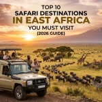 Top 10 Safari Destinations in East Africa You Must Visit (2026 Guide) Top 10 Safari Destinations in East Africa You Must Visit (2026 Guide)