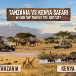 Tanzania vs Kenya Safari: Which One Should You Choose?