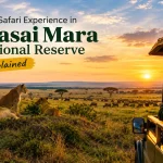 Best Safari Experience in Masai Mara National Reserve Explained