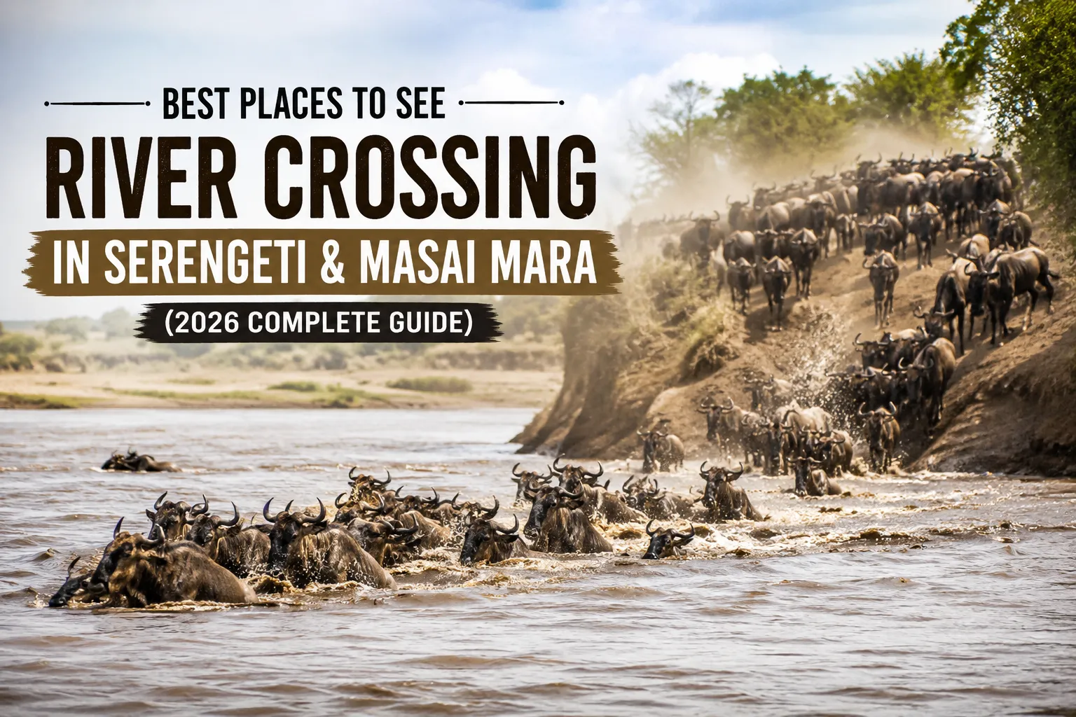 Best Places to See River Crossing in Serengeti & Masai Mara (2026 Complete Guide)