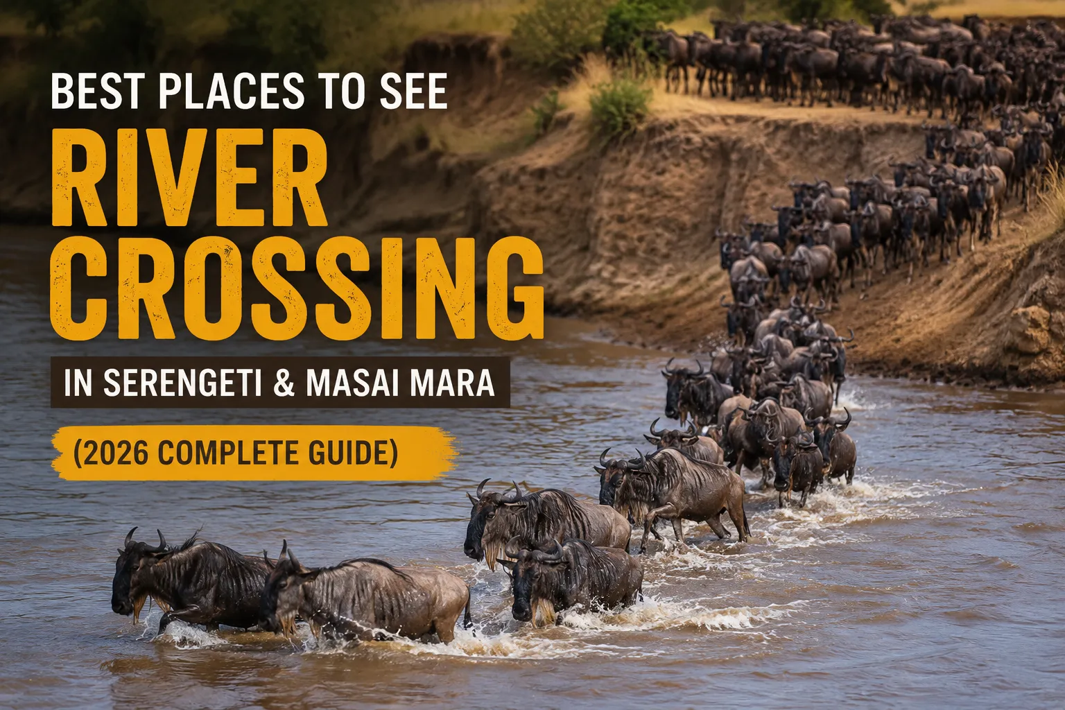 Best Places to See River Crossing in Serengeti & Masai Mara (2026 Complete Guide)