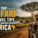Top Safari Travel Tips for First-Time Visitors to Africa (2026 Guide)