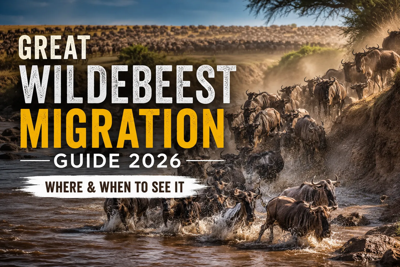 Great Wildebeest Migration Guide 2026 (Where & When to See It)