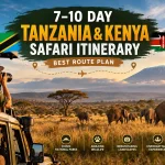 7–10 Day Tanzania & Kenya Safari Itinerary (Best Route Plan)